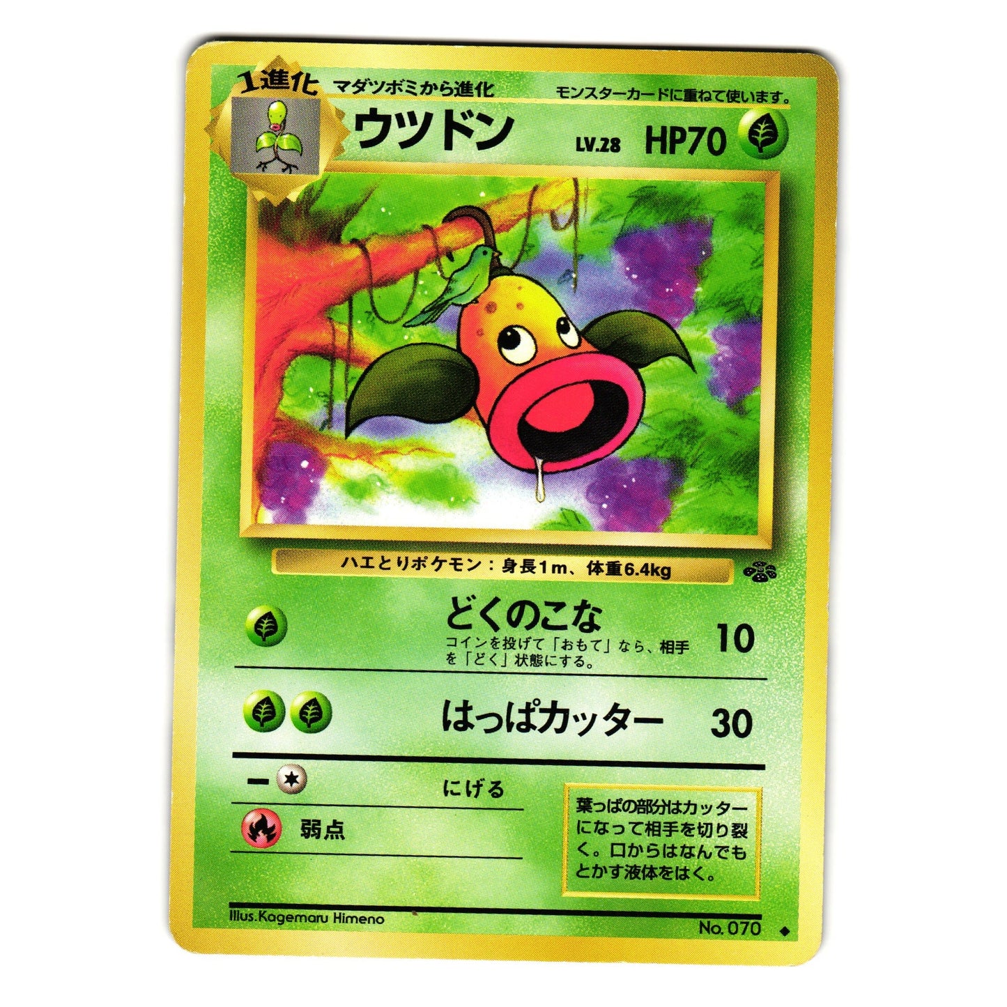 WEEPINBELL JUNGLE SET JAPANESE POKEMON TCG