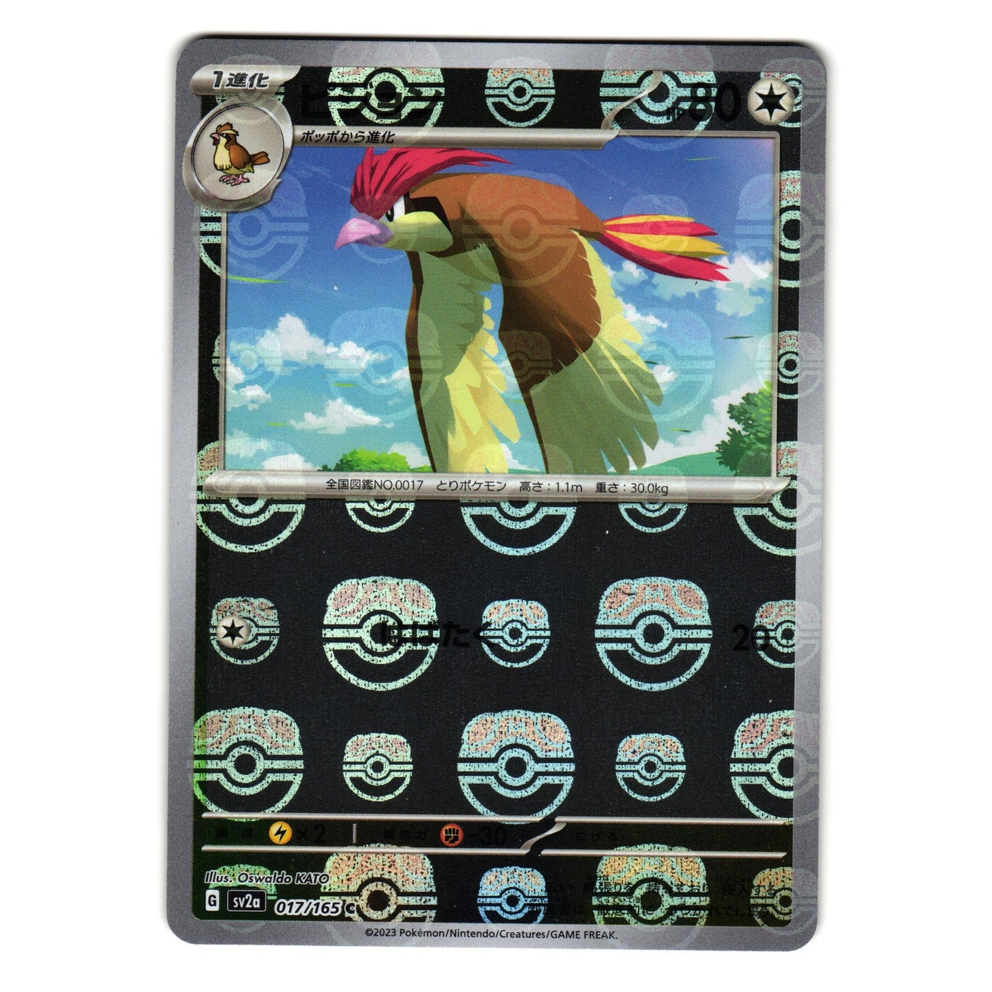 PIDGEOTTO MASTER BALL 017/165 SCARLET VIOLET 151 JAPANESE POKEMON TCG