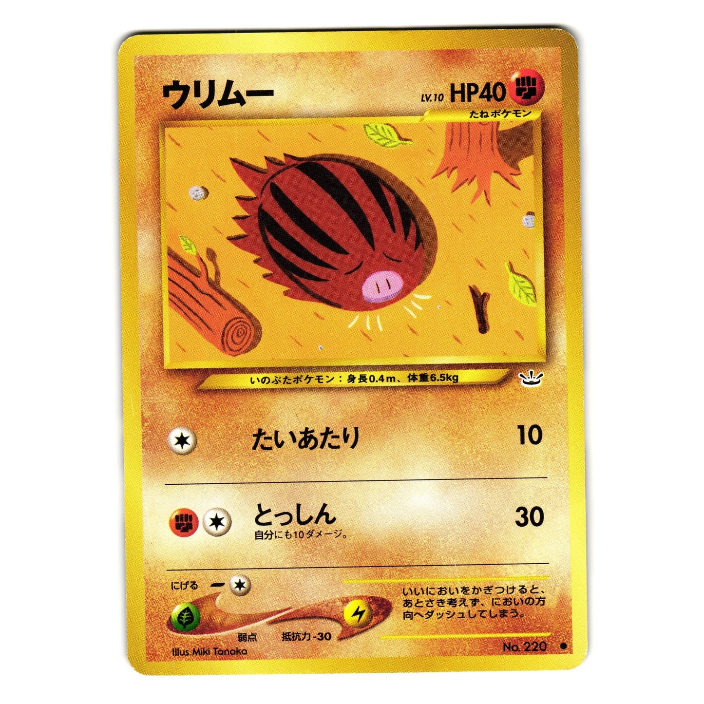 SWINUB NEO REVELATION JAPANESE POKEMON TCG