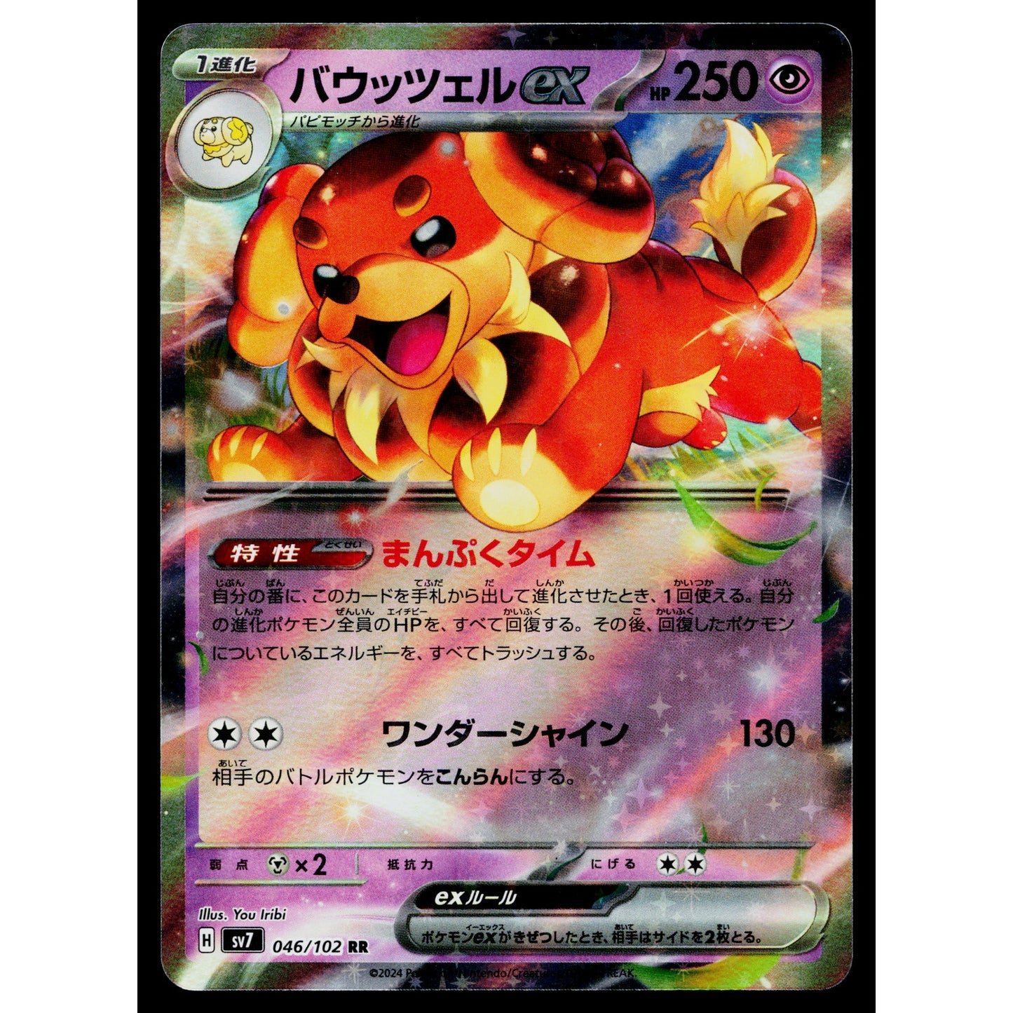 DACHSBUN EX 046/102 STELLAR MIRACLE JAPANESE POKEMON TCG