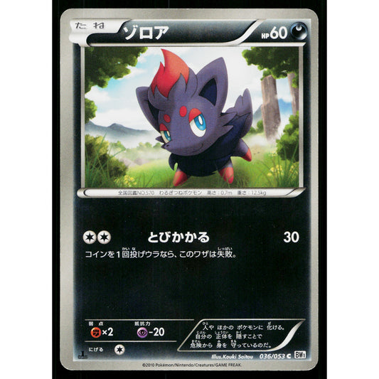 ZORUA 036/053 WHITE COLLECTION JAPANESE POKEMON TCG