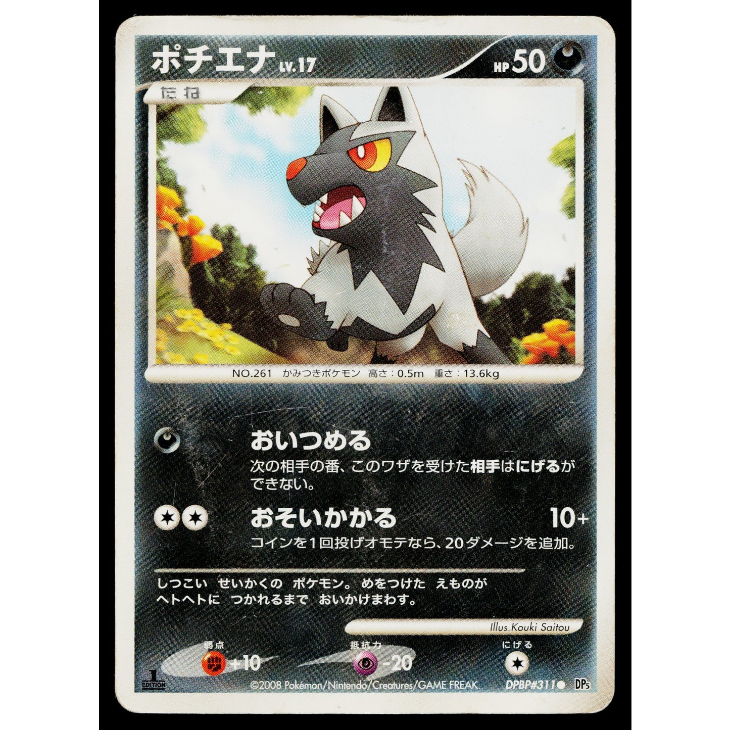 POOCHYENA DPBP#311 CRY FROM THE MYSTERIOUS JAPANESE POKEMON TCG