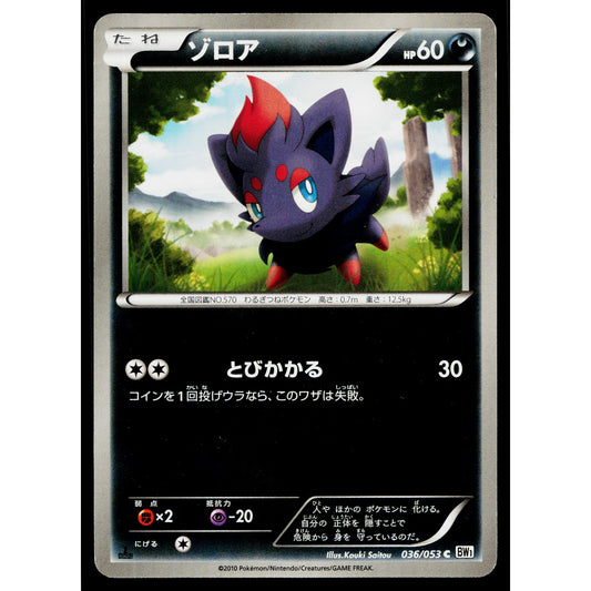 ZORUA 036/053 WHITE COLLECTION JAPANESE POKEMON TCG